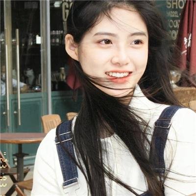 美国鸟类